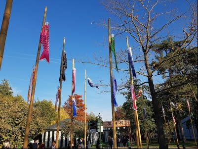 Le Grand Matsuri au jardin d'acclimatation
