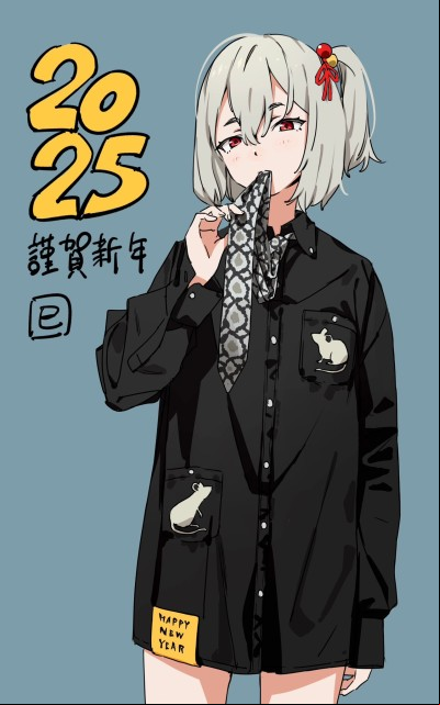 Nouvel An 2025